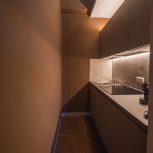 artemide_02